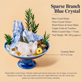 Sparse Branch Blue Crystal